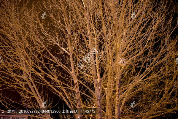 雪鄉(xiāng),村莊,雪,冬天,寒冷,林