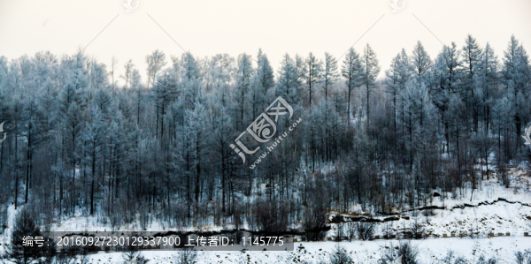 雪鄉(xiāng),村莊,雪,冬天,寒冷,林
