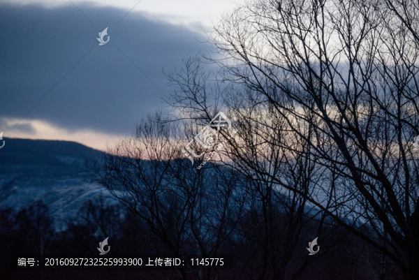 雪鄉(xiāng),村莊,雪,冬天,寒冷,林