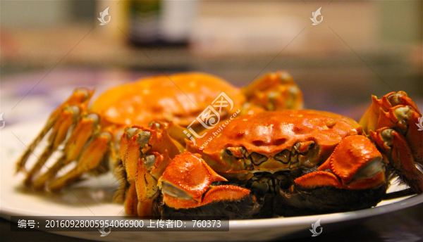 陽(yáng)澄湖大閘蟹