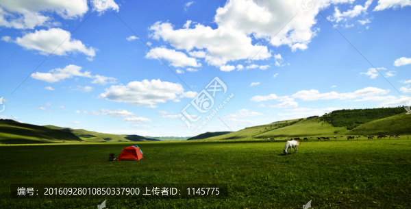 夏季牧場(chǎng)
