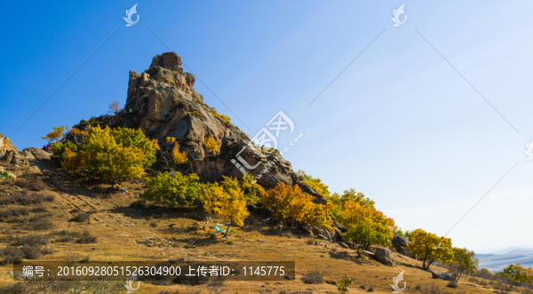 神山,白樺樹,樹林,秋景,秋