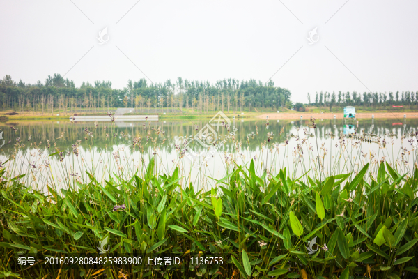 水景,秋天