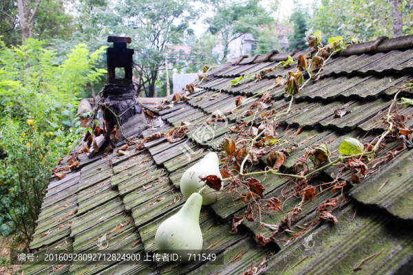 農(nóng)家秋景,瓦房葫蘆煙囪