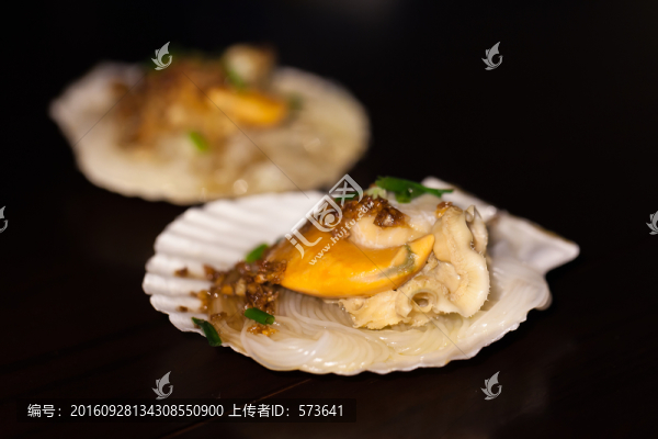 扇貝