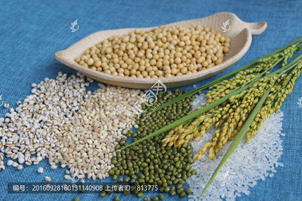 稻香雜糧