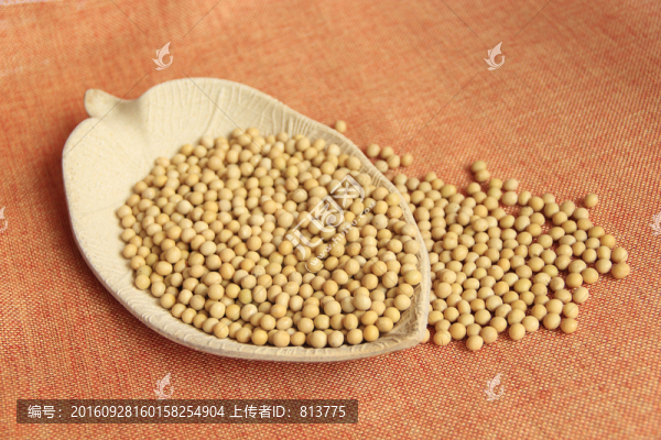 黃豆一盤(pán)