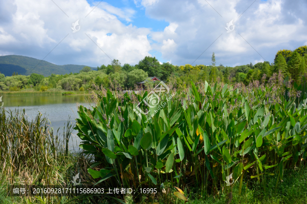 南京鐘山風(fēng)景名勝區(qū)