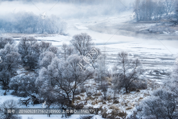霧凇,雪景,冬天,自然奇觀,樹