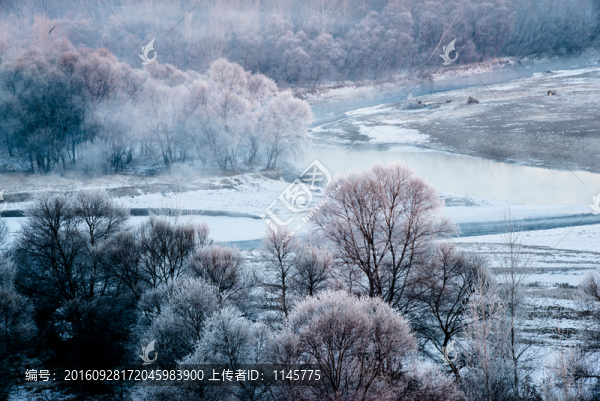 霧凇,雪景,冬天,自然奇觀,樹