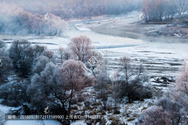 霧凇,雪景,冬天,自然奇觀,樹