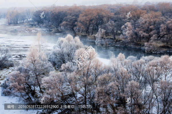 霧凇,雪景,冬天,自然奇觀,樹