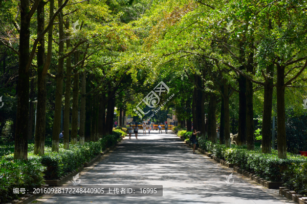 中山植物園