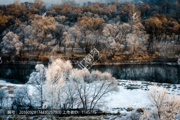 霧凇,雪景,冬天,自然奇觀,樹