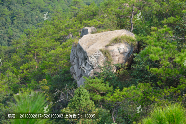 安徽績(jī)溪縣七姑山