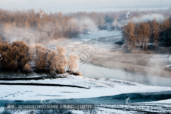 霧凇,雪景,冬天,自然奇觀,樹