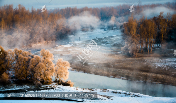 霧凇,雪景,冬天,自然奇觀,樹