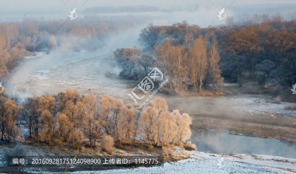 霧凇,雪景,冬天,自然奇觀,樹