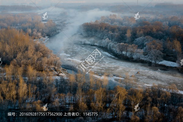 霧凇,雪景,冬天,自然奇觀,樹