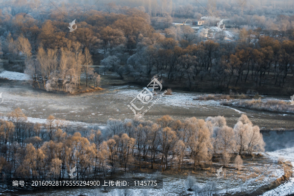 霧凇,雪景,冬天,自然奇觀,樹