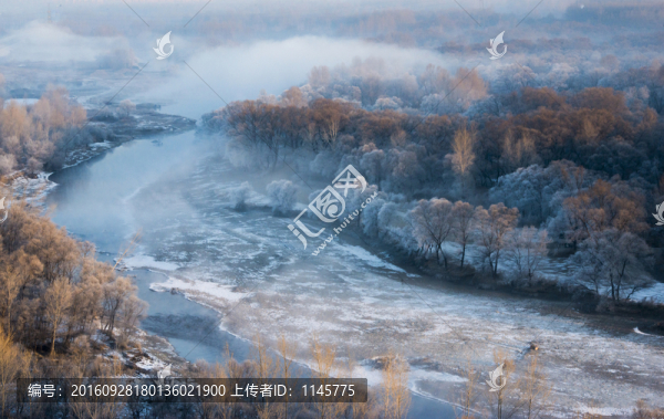 霧凇,雪景,冬天,自然奇觀,樹
