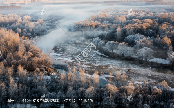 霧凇,雪景,冬天,自然奇觀,樹
