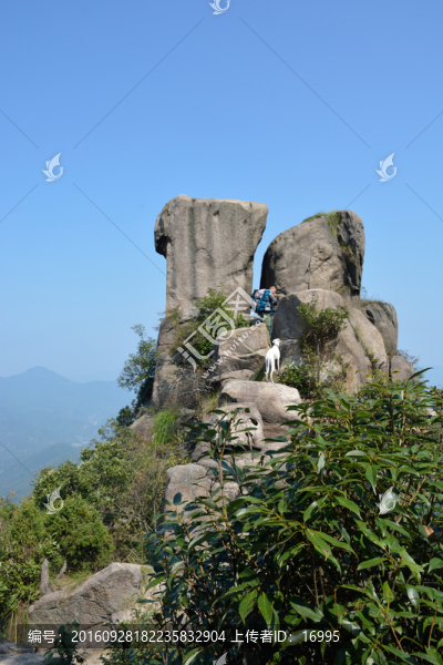 安徽績(jī)溪龍須山姐妹石