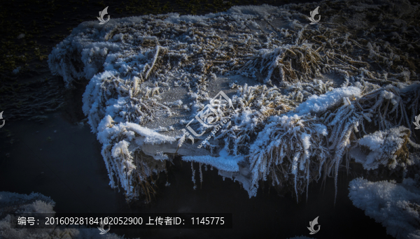 霧凇,雪景,冬天,自然奇觀,樹
