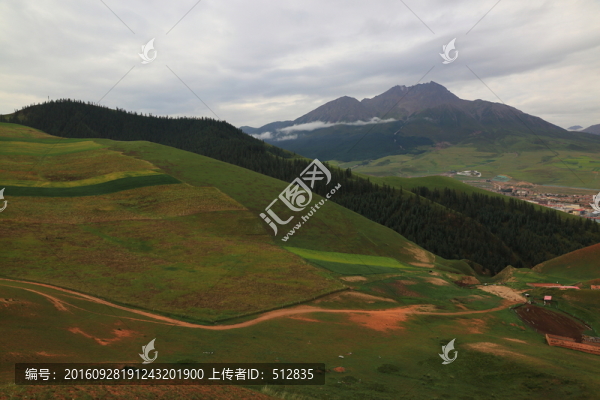 卓爾山