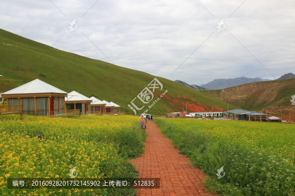 卓爾山