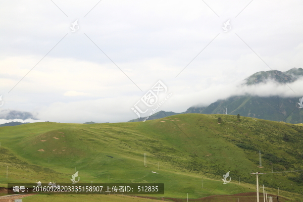 祁連山草原