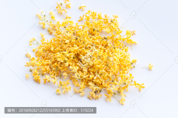 桂花