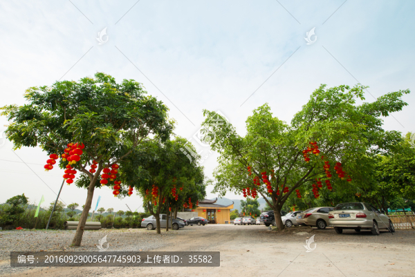 農(nóng)家樂(lè)
