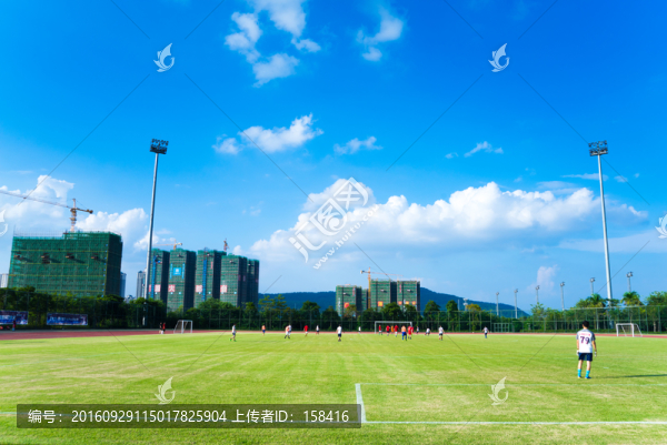 綠茵場