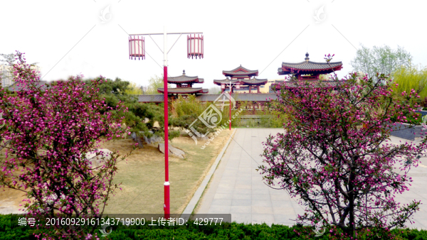 春天公園