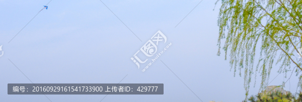 放風(fēng)箏,春天,紙鳶