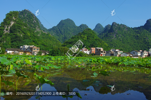 風(fēng)景