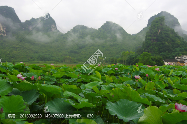 鄉(xiāng)村風(fēng)景