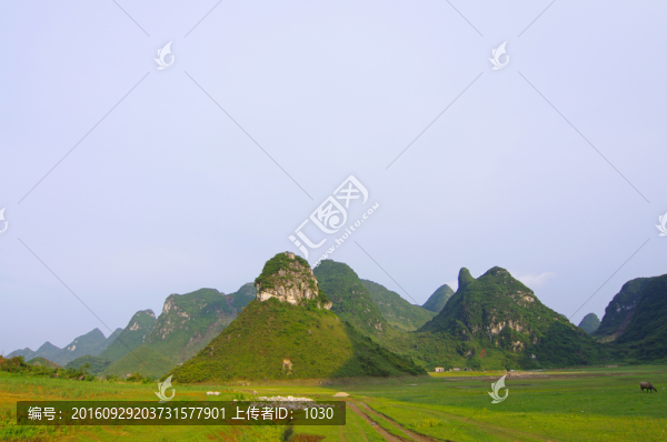 風(fēng)景