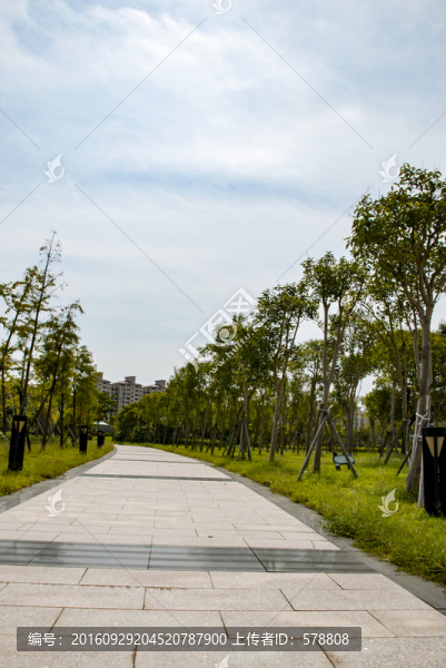 林蔭小道,石板路,公園一角