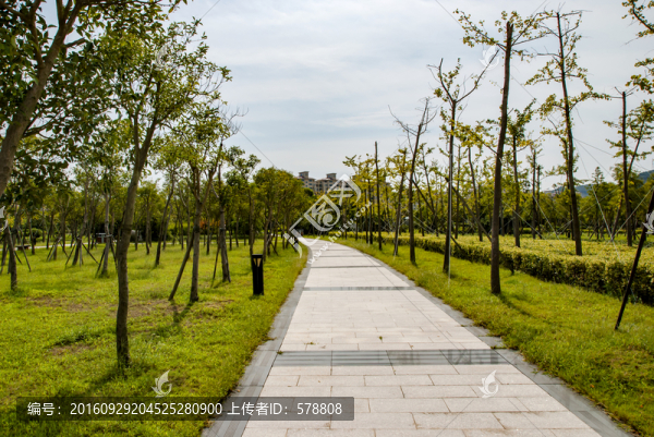 林蔭小道,石板路