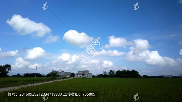 田園小路