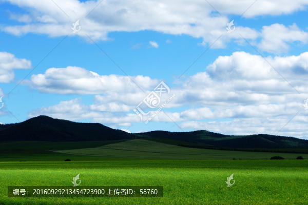麥田風(fēng)景