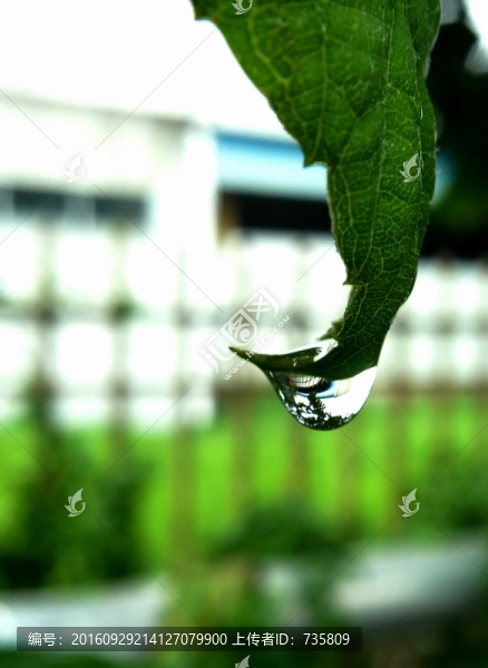 水滴