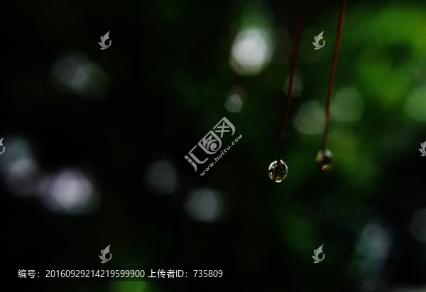水珠