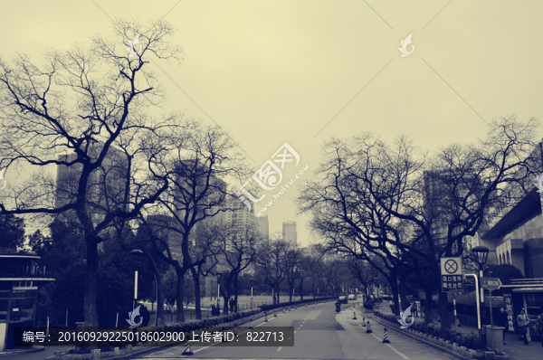 老照片杭州街景