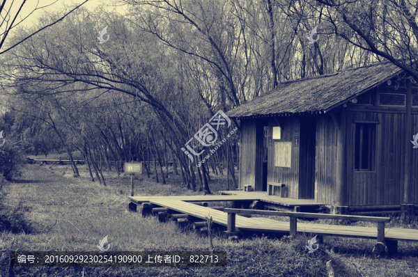 老照片西溪濕地