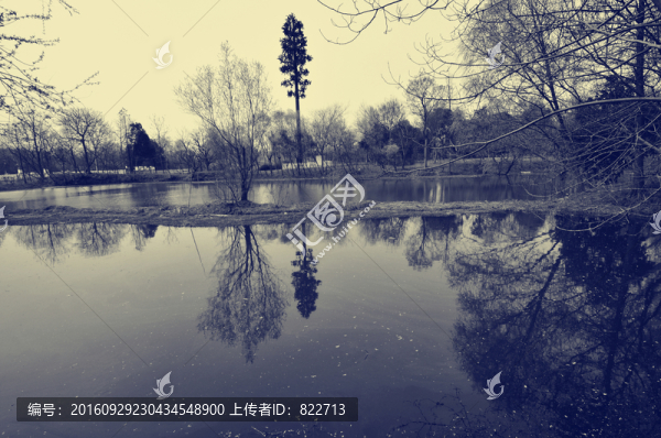 老照片西溪濕地