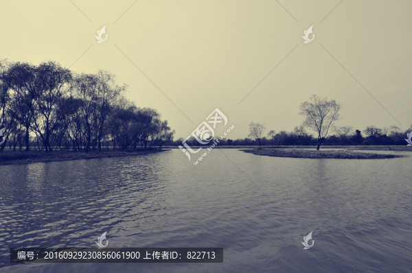 老照片西溪濕地