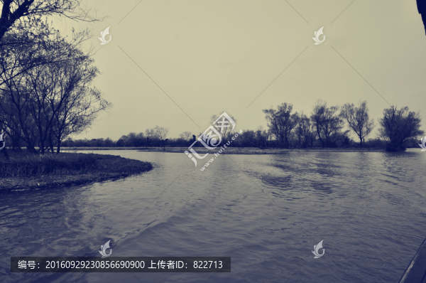 老照片西溪濕地